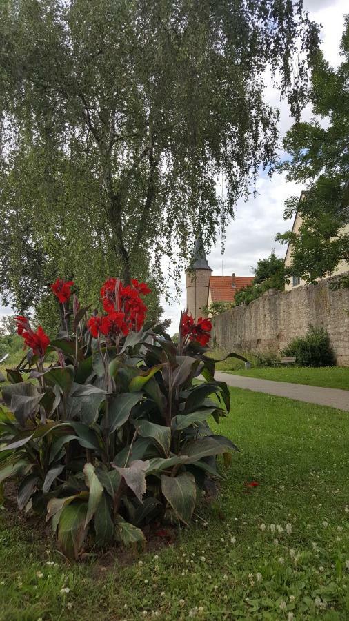 Direkt Am Main Villa Karlstadt Bagian luar foto